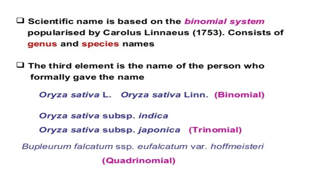 Introduction to Systematics/Plant Taxonomy Dr - slide 28 of 34