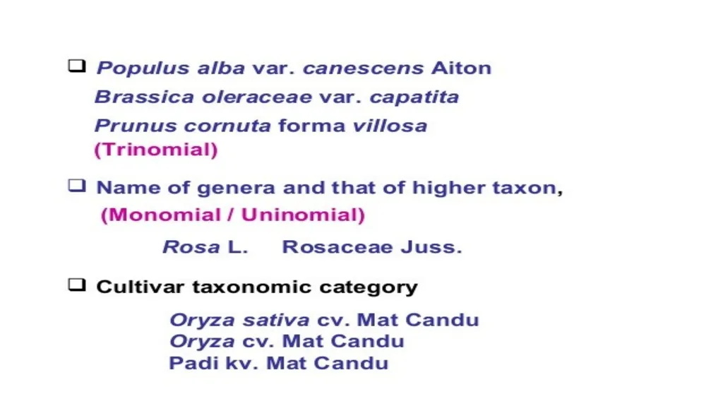 Introduction to Systematics/Plant Taxonomy Dr - slide 29 of 34
