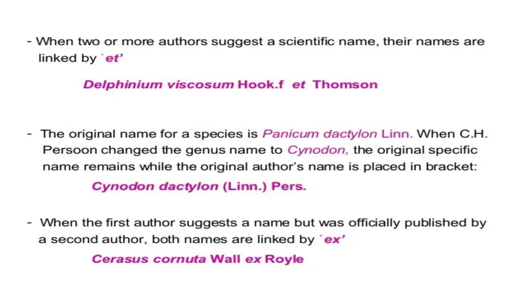 Introduction to Systematics/Plant Taxonomy Dr - slide 31 of 34