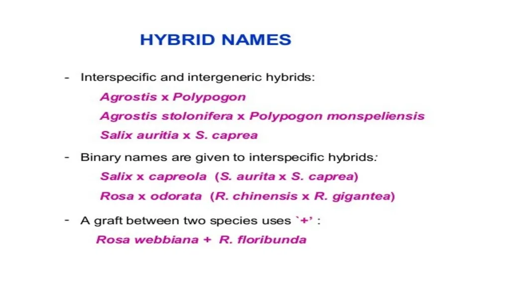 Introduction to Systematics/Plant Taxonomy Dr - slide 32 of 34