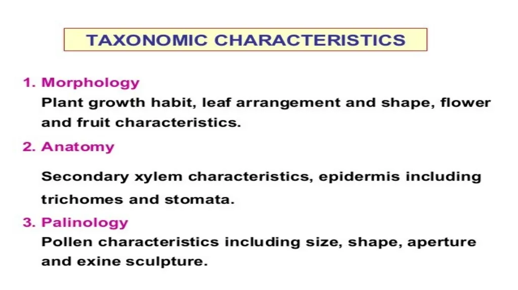 Introduction to Systematics/Plant Taxonomy Dr - slide 33 of 34