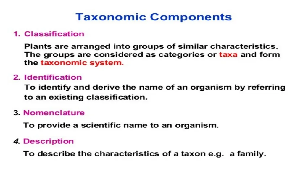 Introduction to Systematics/Plant Taxonomy Dr - slide 9 of 34