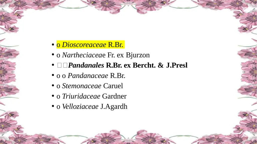 'Application of APG Classification System in - slide 32 of 42