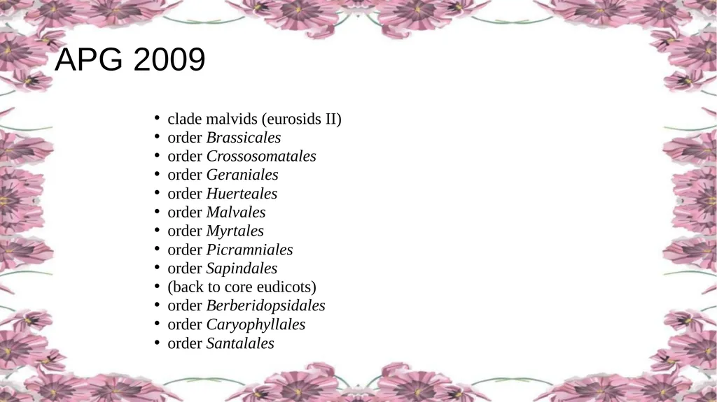 'Application of APG Classification System in - slide 27 of 42