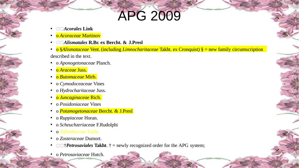 'Application of APG Classification System in - slide 31 of 42