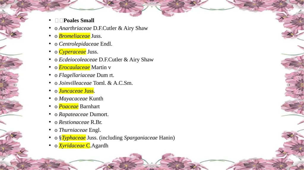 'Application of APG Classification System in - slide 36 of 42