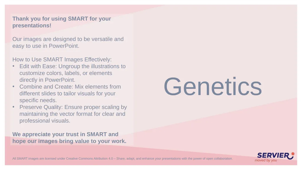 Genetics Karyotype Chromosomes and alleles (1) - slide 2 of 7