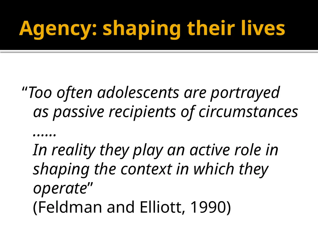 Adolescents constructing their own adolescence - slide 3 of 38