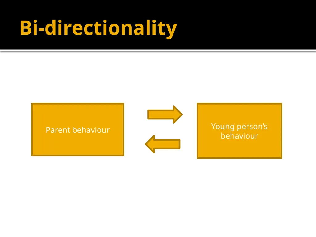 Adolescents constructing their own adolescence - slide 22 of 38