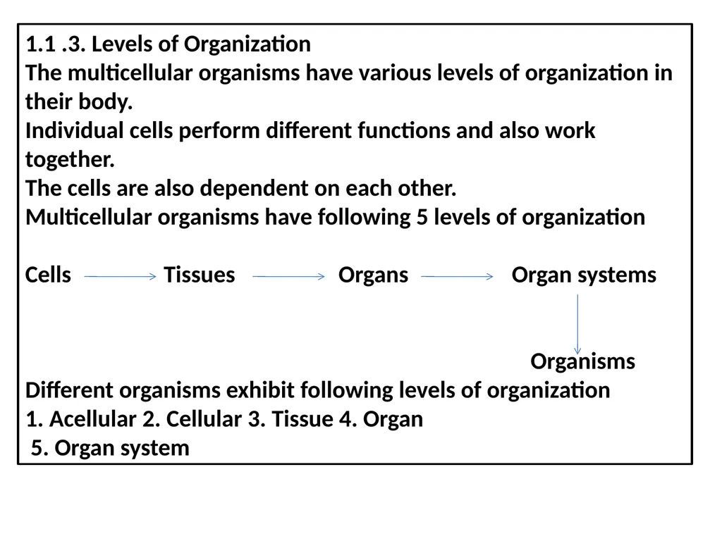 TAXONOMY OF INVERTEBRATES UNIT 1: PRINCIPLES OF - slide 5 of 38