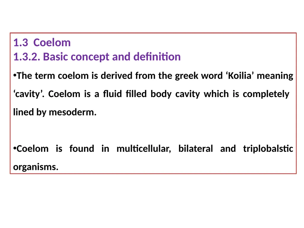 TAXONOMY OF INVERTEBRATES UNIT 1: PRINCIPLES OF - slide 15 of 38