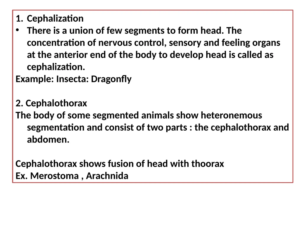 TAXONOMY OF INVERTEBRATES UNIT 1: PRINCIPLES OF - slide 24 of 38