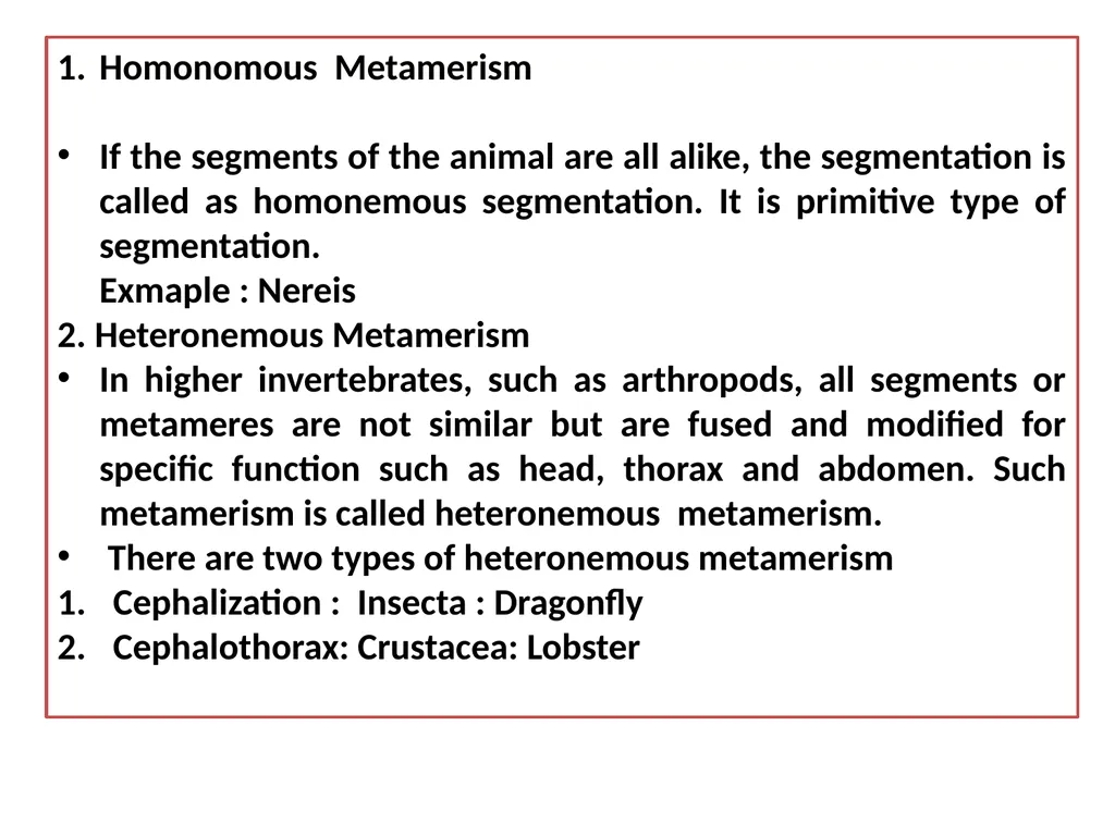 TAXONOMY OF INVERTEBRATES UNIT 1: PRINCIPLES OF - slide 23 of 38
