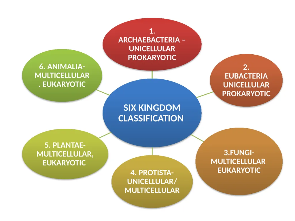 TAXONOMY OF INVERTEBRATES UNIT 1: PRINCIPLES OF - slide 31 of 38