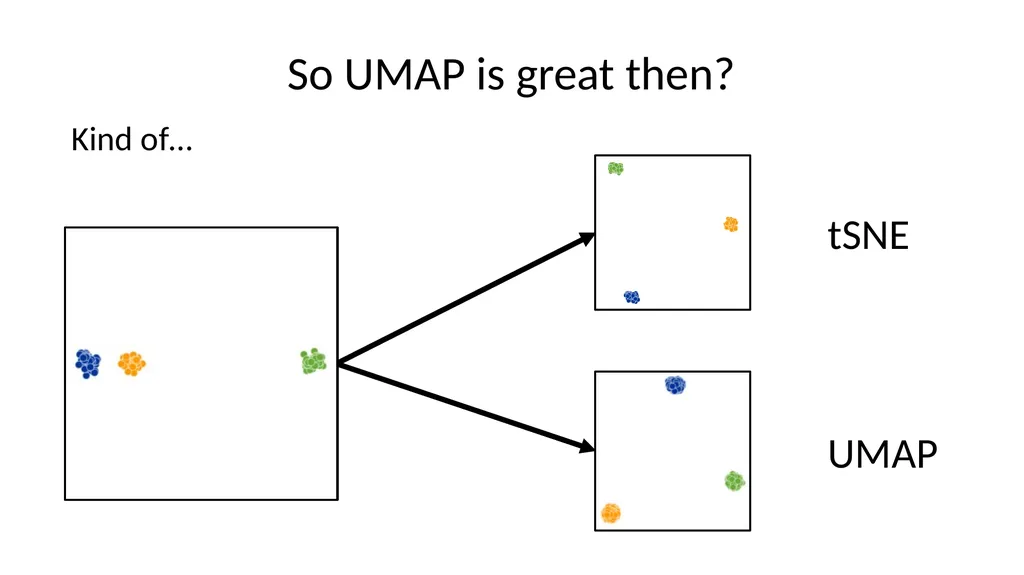 Dimension Reduction PCA, tSNE, UMAP, Integration - slide 30 of 43