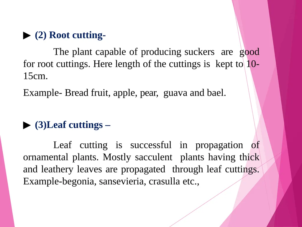 INTRODUCTION TO METHODS OF PROPAGATION Dr. M. - slide 7 of 21