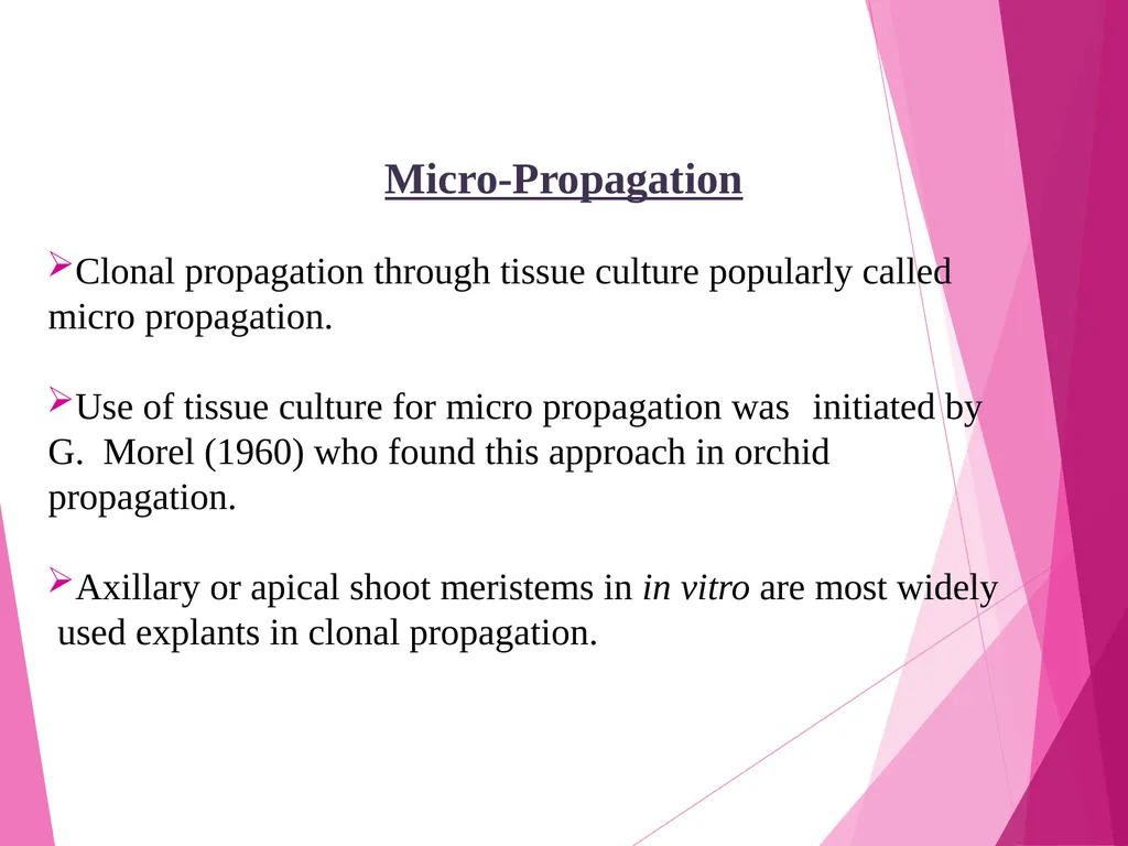 INTRODUCTION TO METHODS OF PROPAGATION Dr. M. - slide 15 of 21