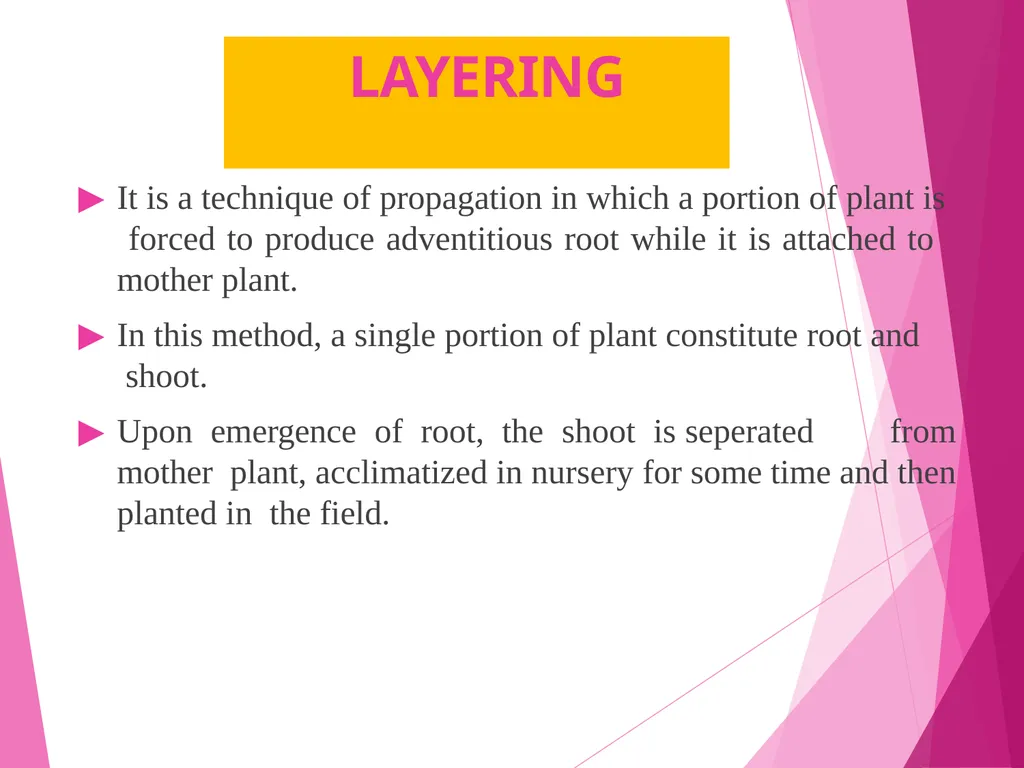 INTRODUCTION TO METHODS OF PROPAGATION Dr. M. - slide 13 of 21