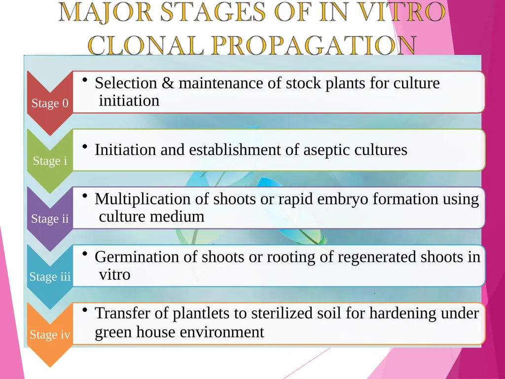 INTRODUCTION TO METHODS OF PROPAGATION Dr. M. - slide 16 of 21