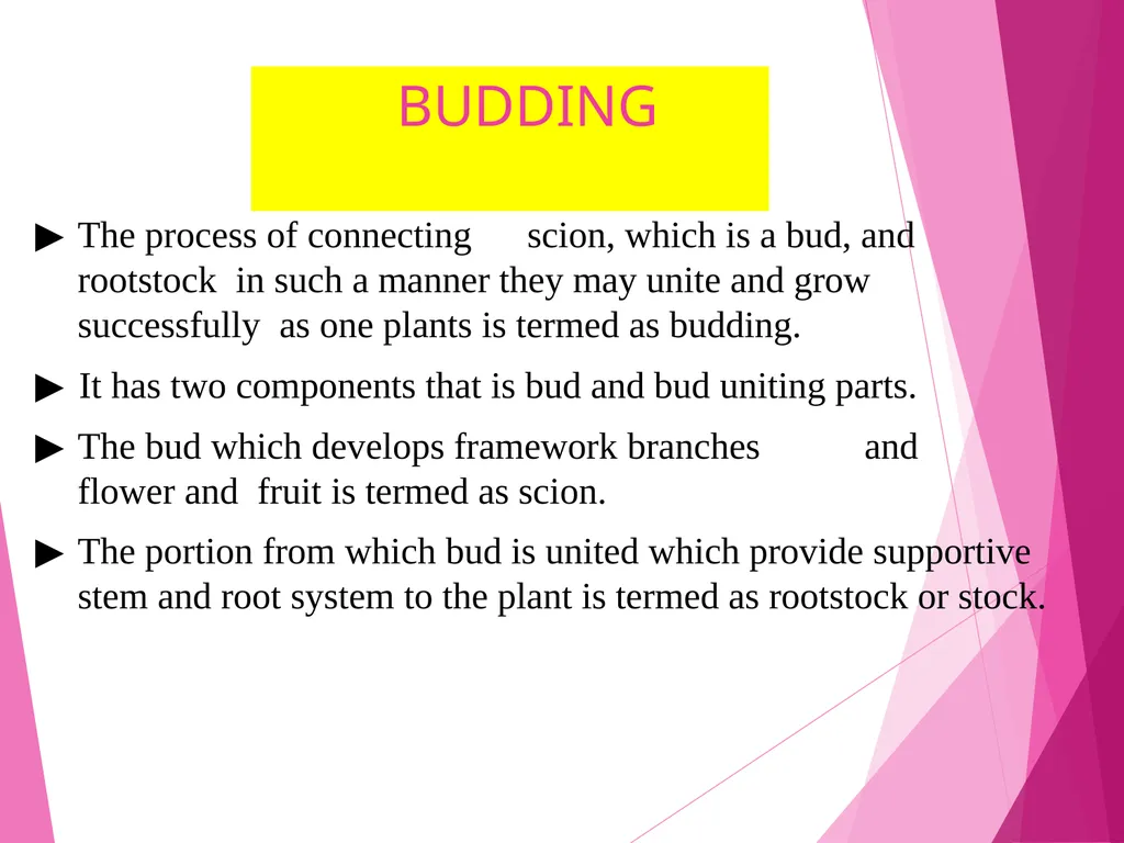 INTRODUCTION TO METHODS OF PROPAGATION Dr. M. - slide 9 of 21