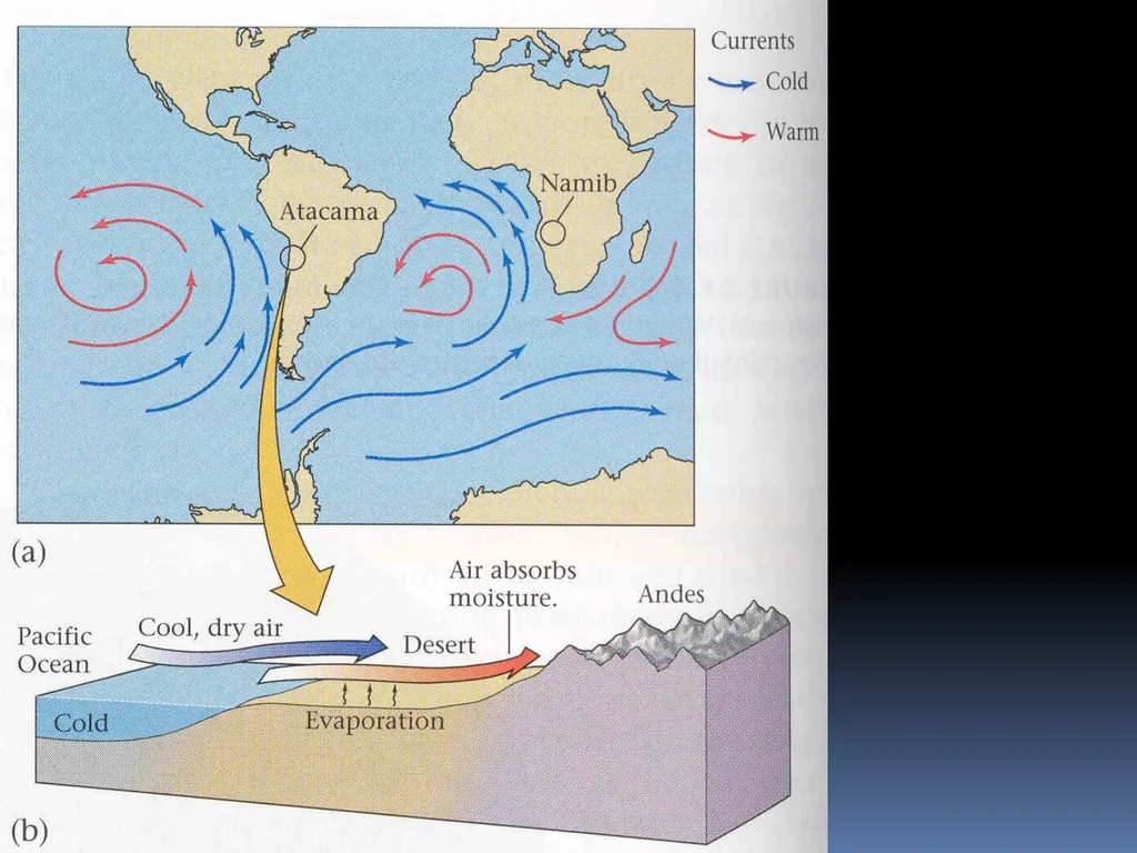 Deserts and Desertification lecture 1 collected by - slide 20 of 22