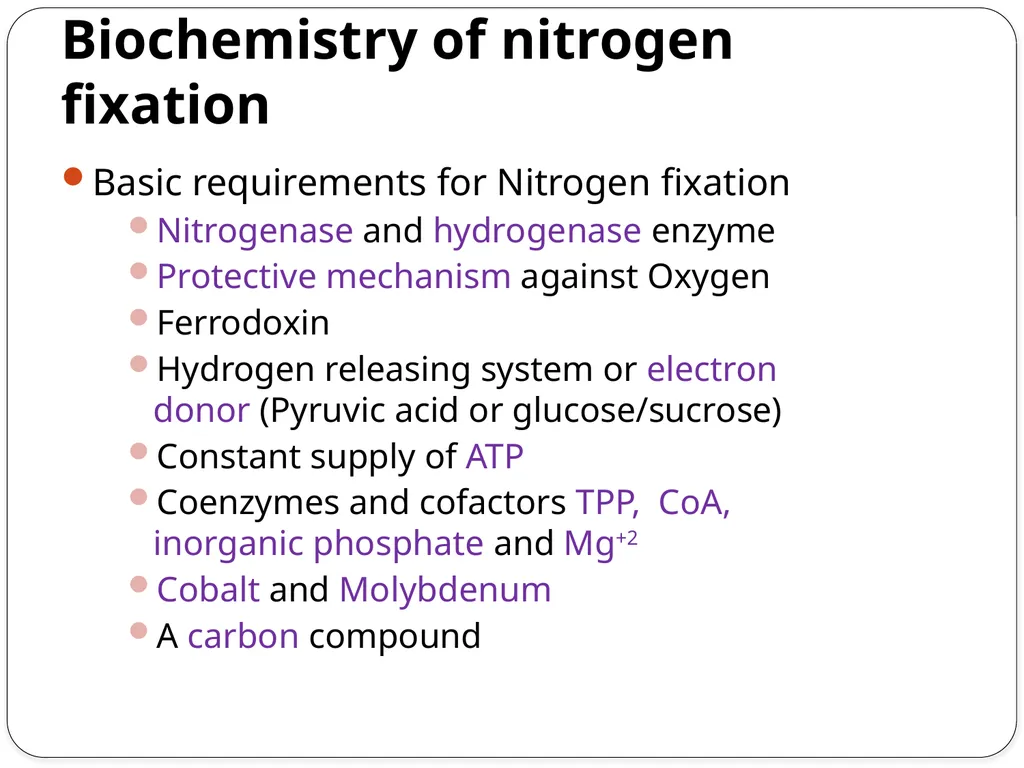 Nitrogen Fixation Role of Nitrogen in Plants Major - slide 24 of 32