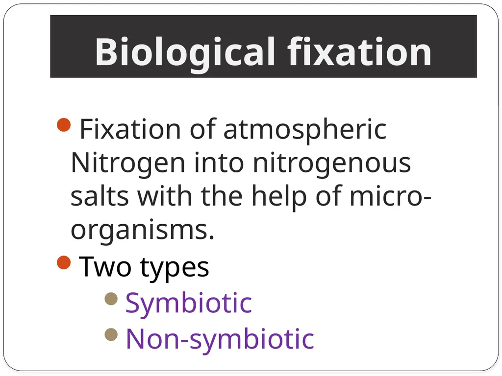 Nitrogen Fixation Role of Nitrogen in Plants Major - slide 7 of 32