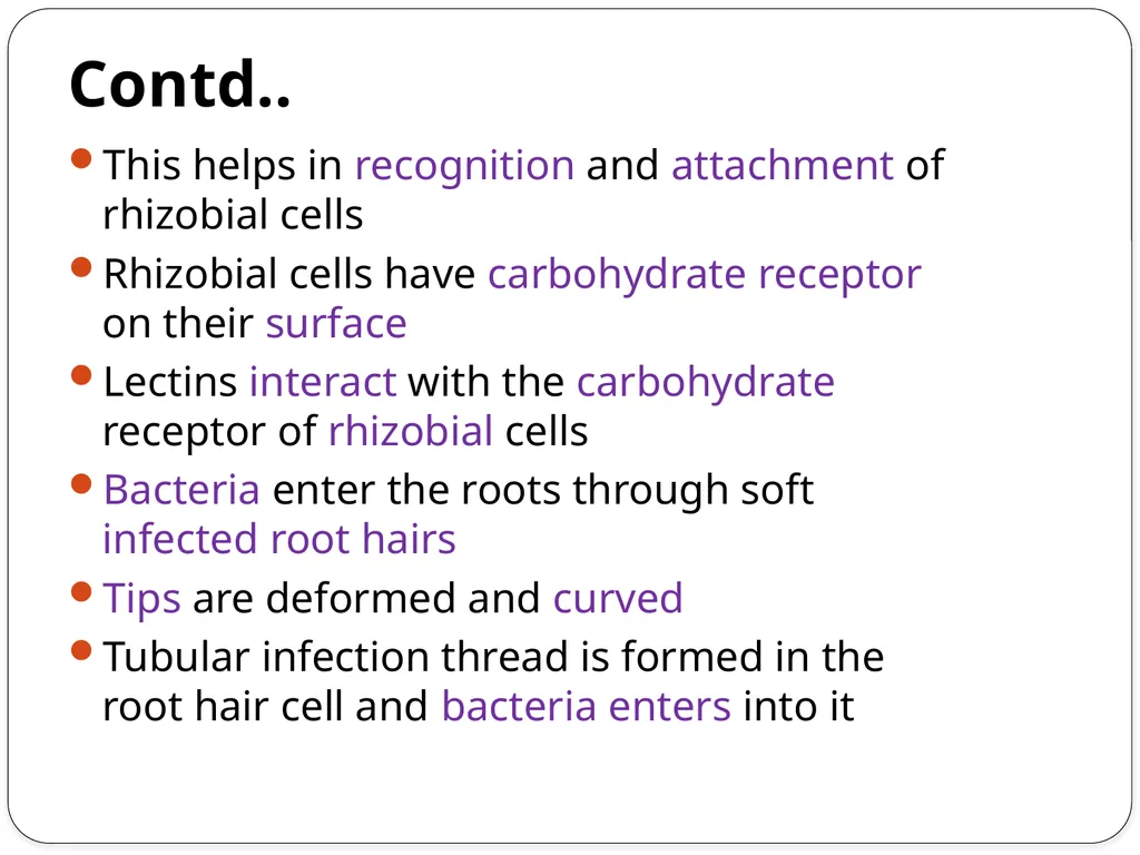Nitrogen Fixation Role of Nitrogen in Plants Major - slide 18 of 32