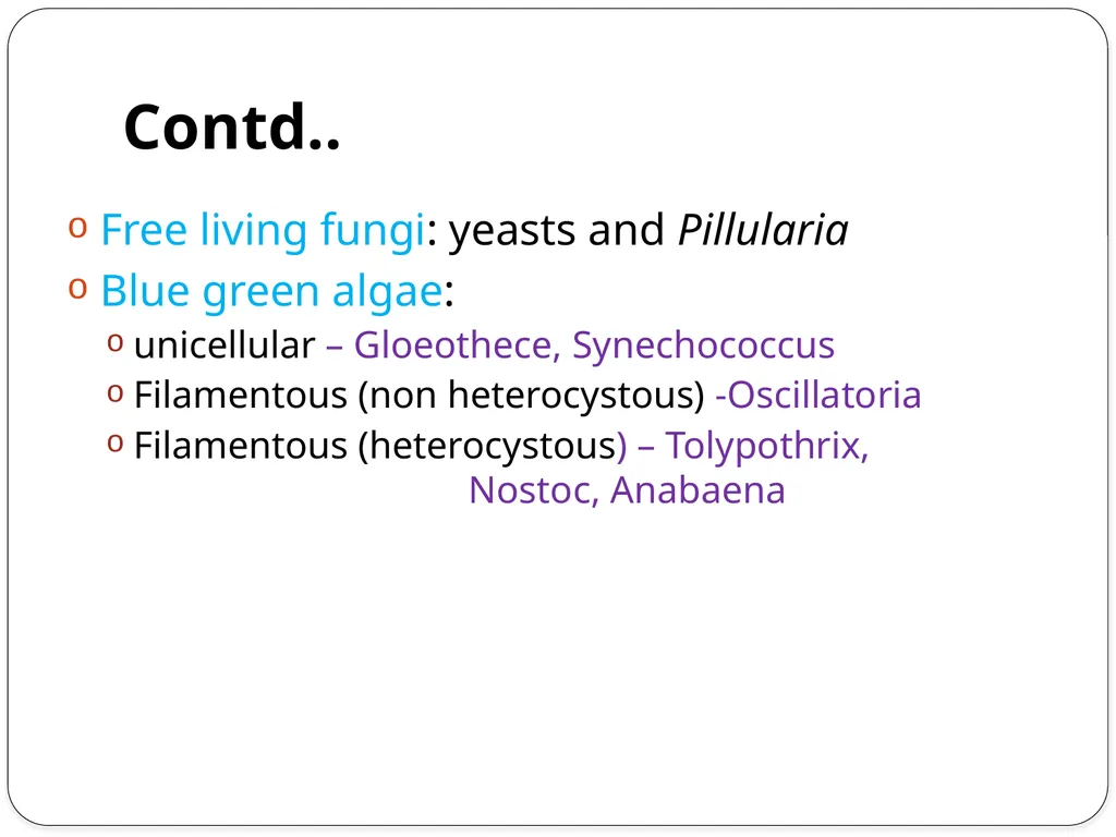 Nitrogen Fixation Role of Nitrogen in Plants Major - slide 9 of 32
