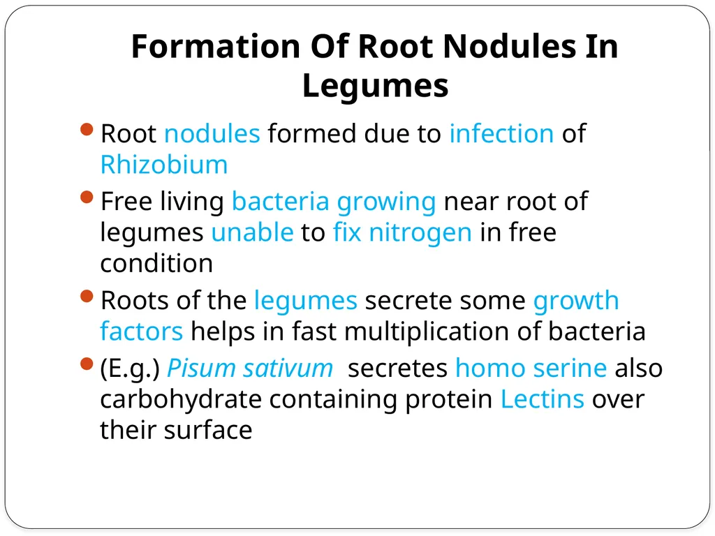 Nitrogen Fixation Role of Nitrogen in Plants Major - slide 16 of 32