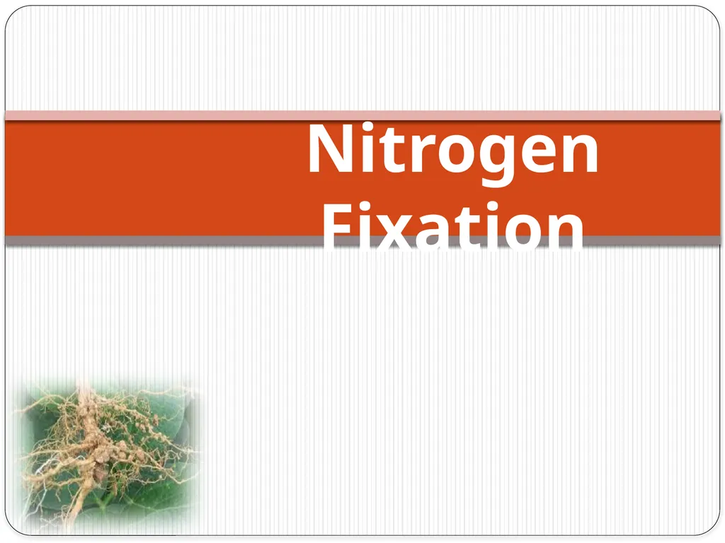Nitrogen Fixation Role of Nitrogen in Plants Major - slide 1 of 32
