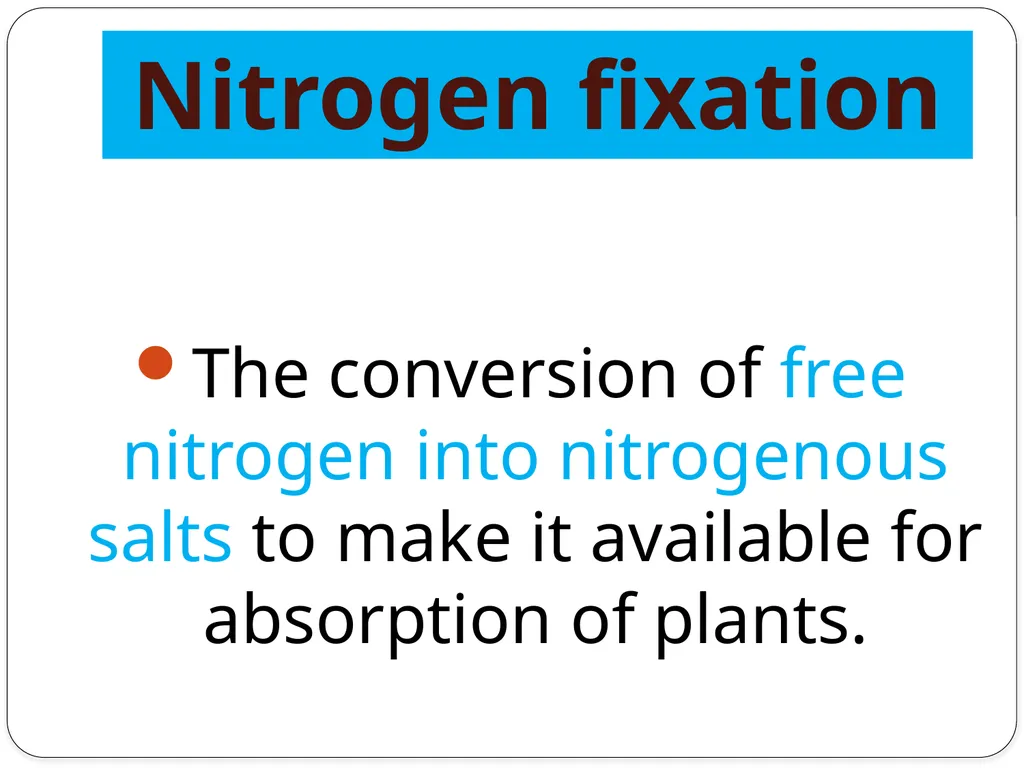 Nitrogen Fixation Role of Nitrogen in Plants Major - slide 4 of 32