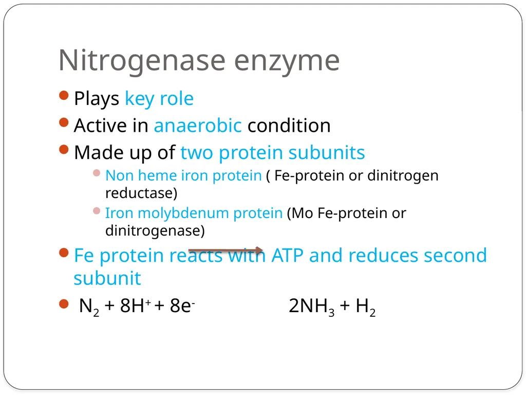 Nitrogen Fixation Role of Nitrogen in Plants Major - slide 25 of 32