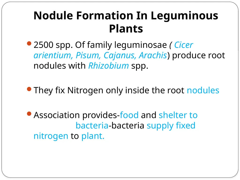 Nitrogen Fixation Role of Nitrogen in Plants Major - slide 11 of 32