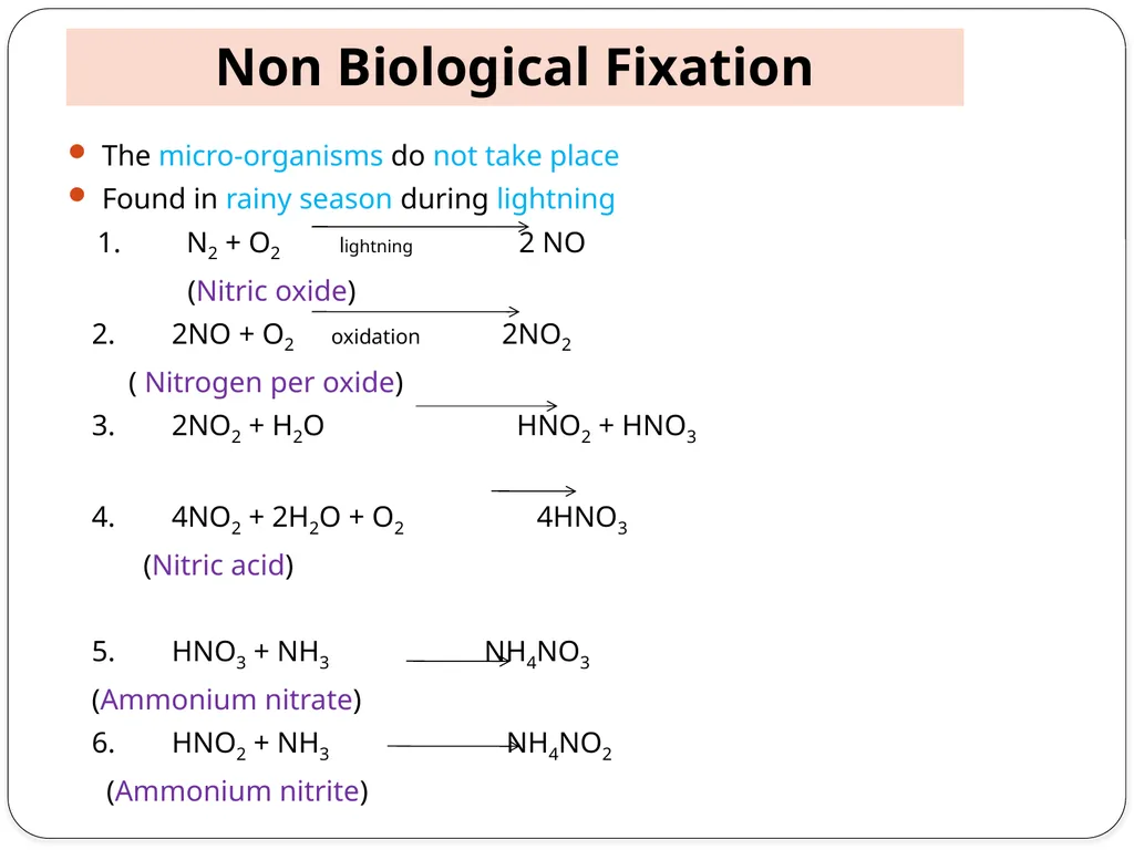 Nitrogen Fixation Role of Nitrogen in Plants Major - slide 6 of 32