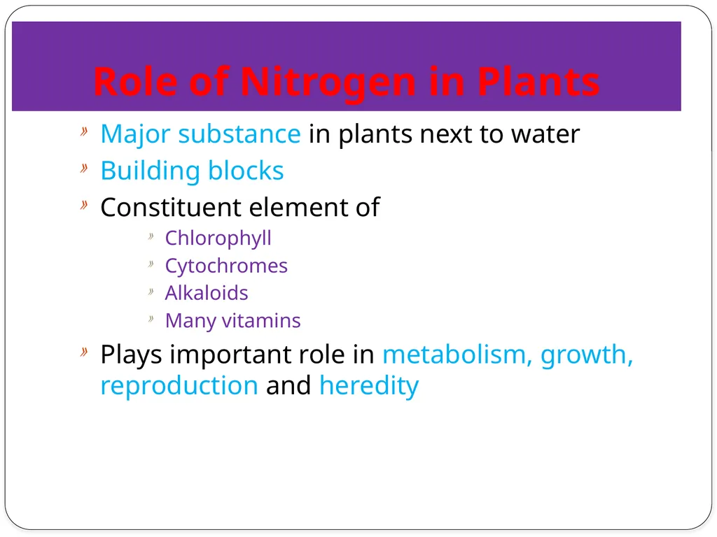 Nitrogen Fixation Role of Nitrogen in Plants Major - slide 2 of 32