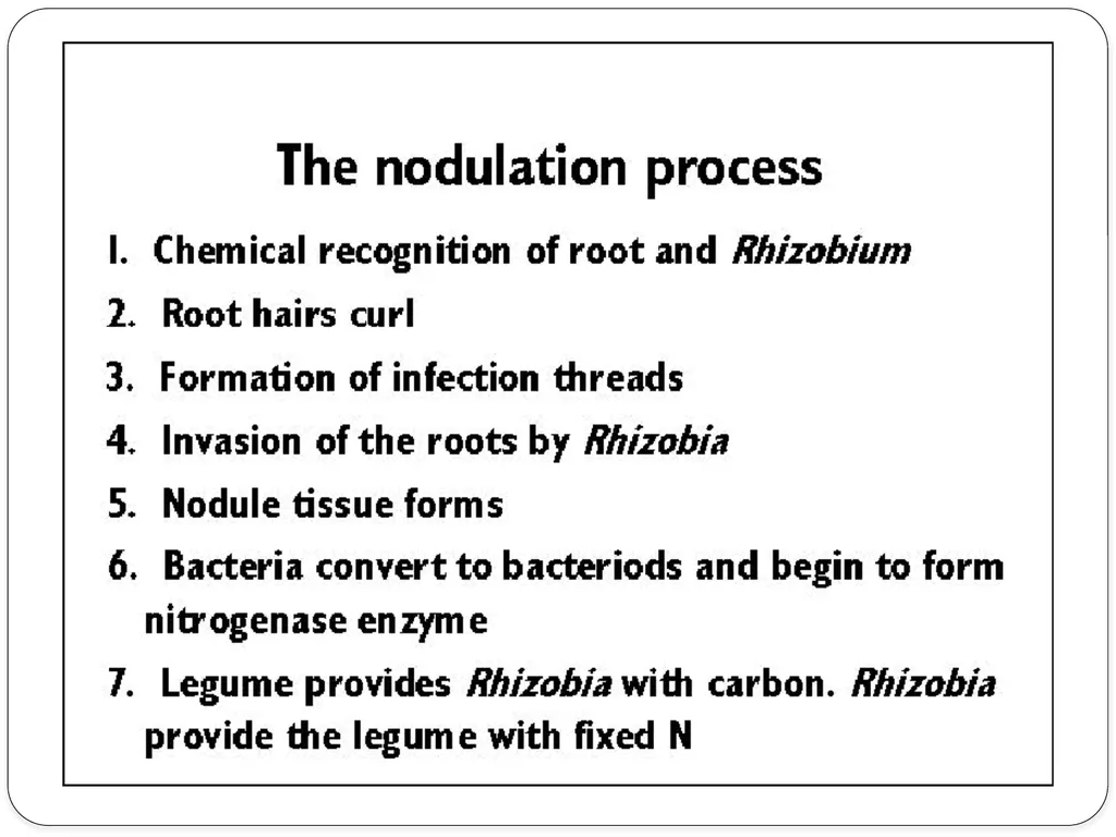 Nitrogen Fixation Role of Nitrogen in Plants Major - slide 15 of 32