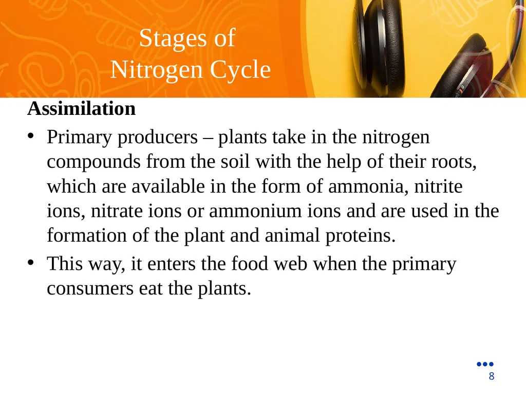 StudyMafia.Org Submitted To: Submitted By: - slide 8 of 15