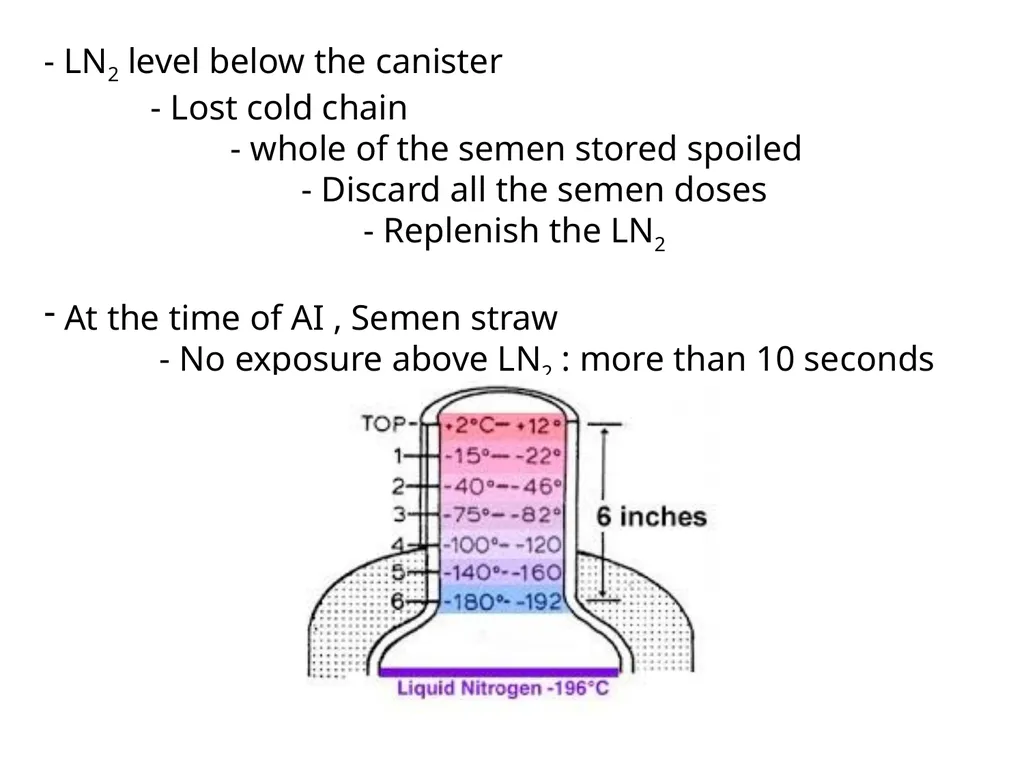 Information On LN2 & cryocan Dr. Vikas Sachan - slide 16 of 20