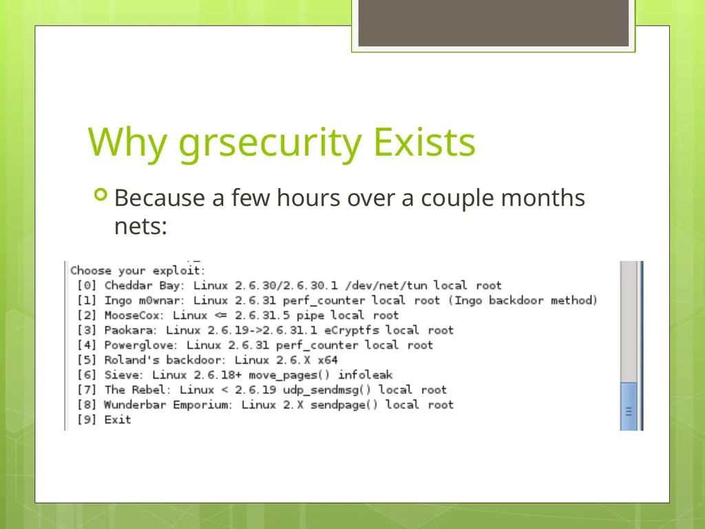 The Case For Brad Spengler Open Source Security, - slide 8 of 26