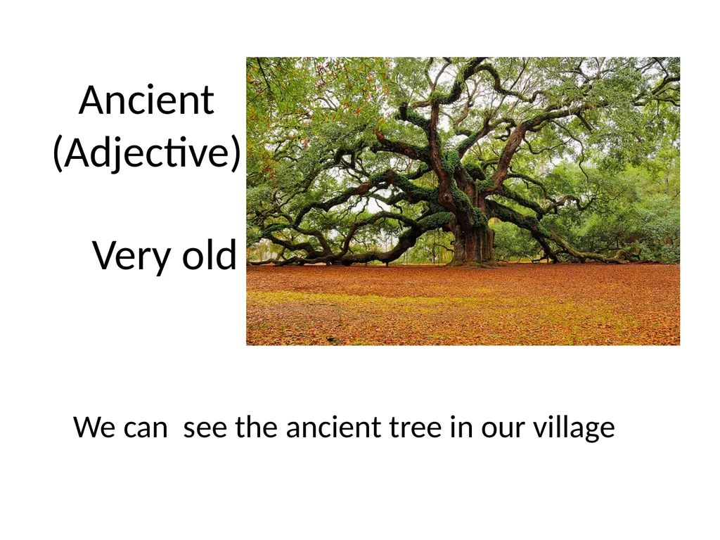 Monira Tul Alam Assistant teacher(English ) Rani - slide 7 of 19