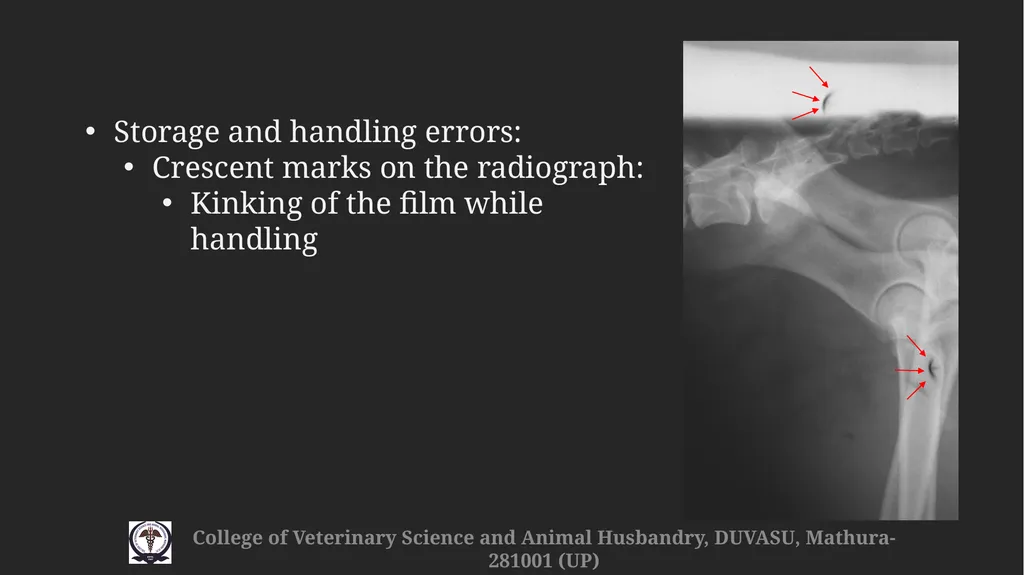 Radiographic faults & artefacts Gulshan Kumar - slide 11 of 12