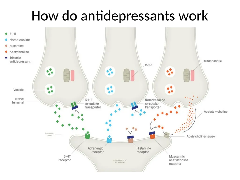 Depression in older adults Tier 3 What is - slide 15 of 22
