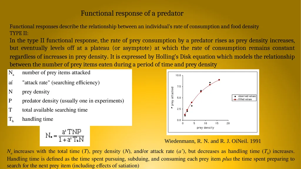 303.5: Ecological Modelling Theoretical Models - slide 8 of 9