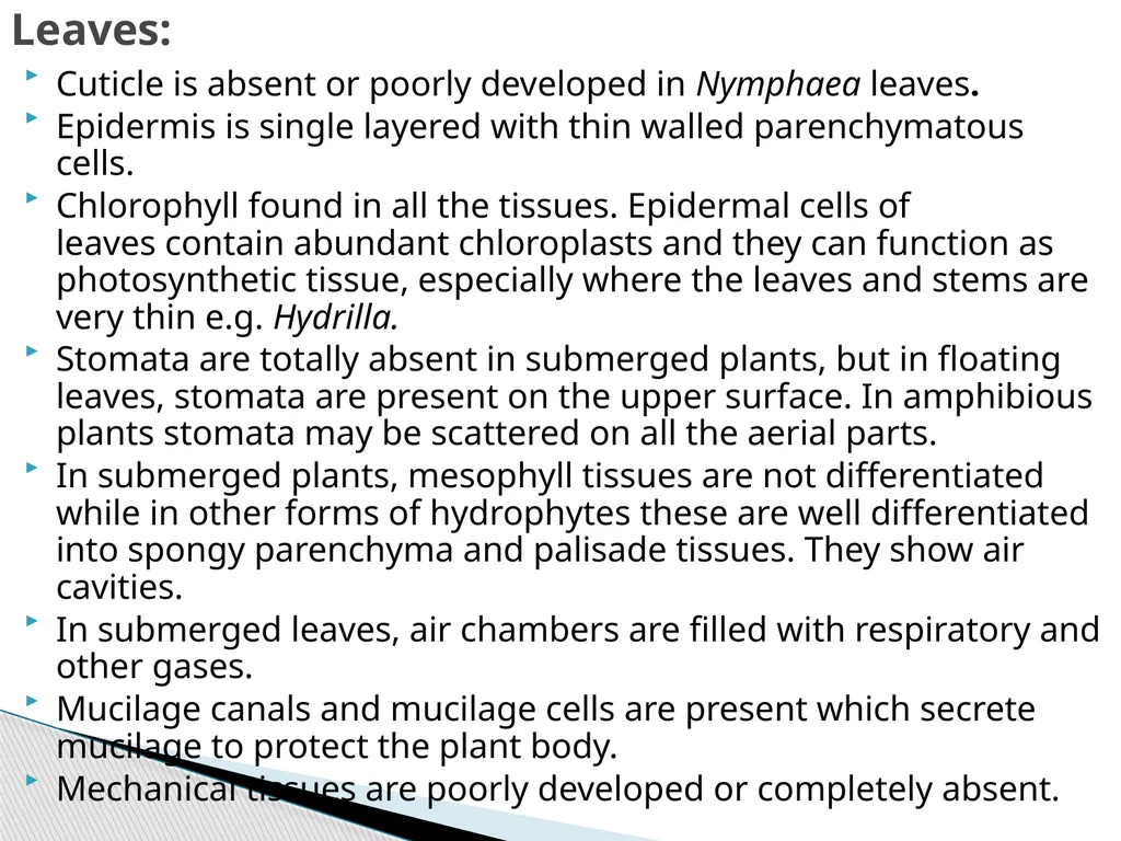 Sem.III, Paper-III ECOLOGICAL ADAPTATIONS Seema - slide 20 of 22