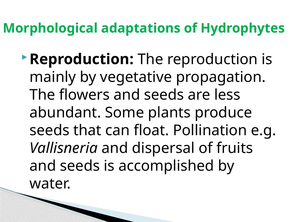 Sem.III, Paper-III ECOLOGICAL ADAPTATIONS Seema - slide 17 of 22
