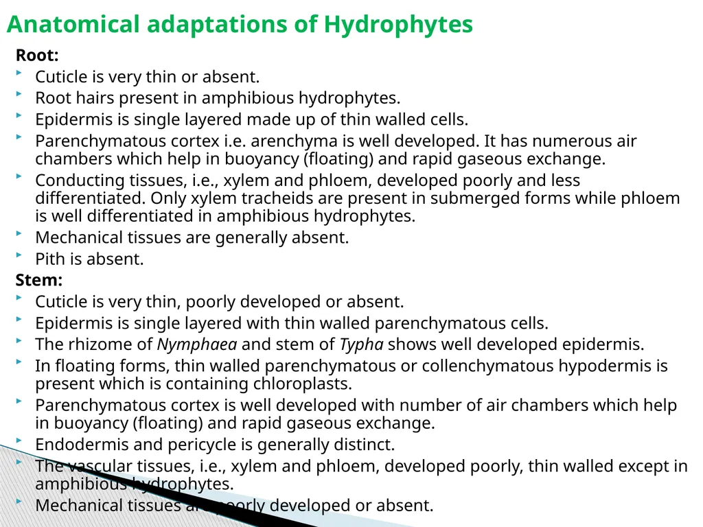 Sem.III, Paper-III ECOLOGICAL ADAPTATIONS Seema - slide 18 of 22