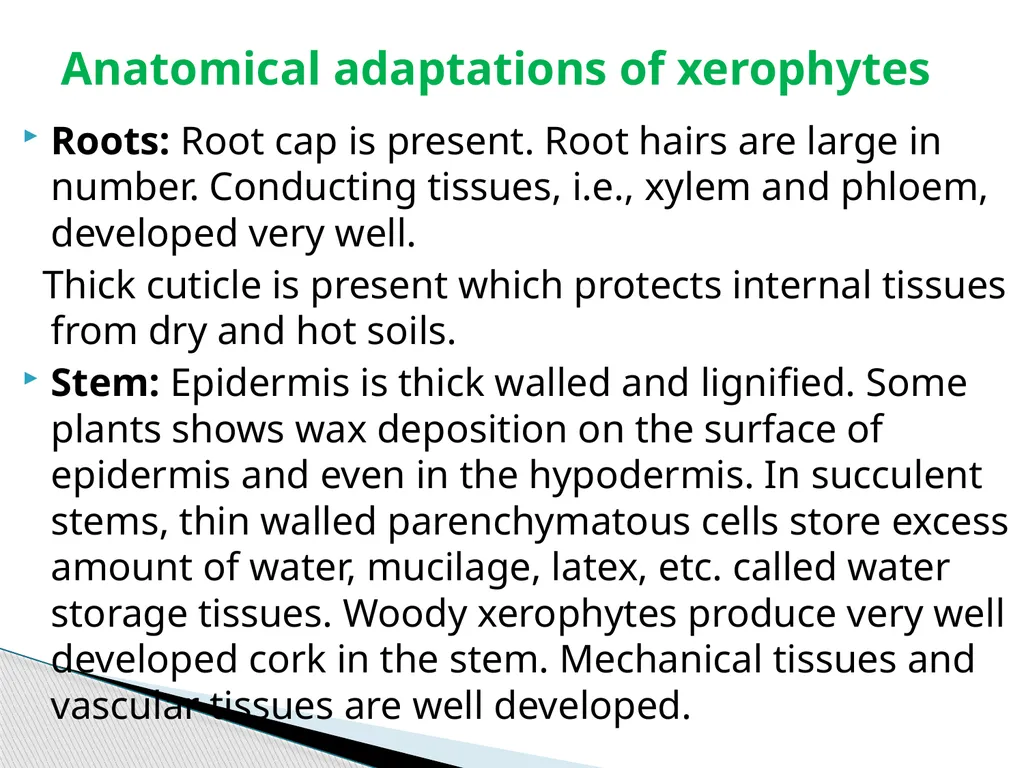 Sem.III, Paper-III ECOLOGICAL ADAPTATIONS Seema - slide 7 of 22