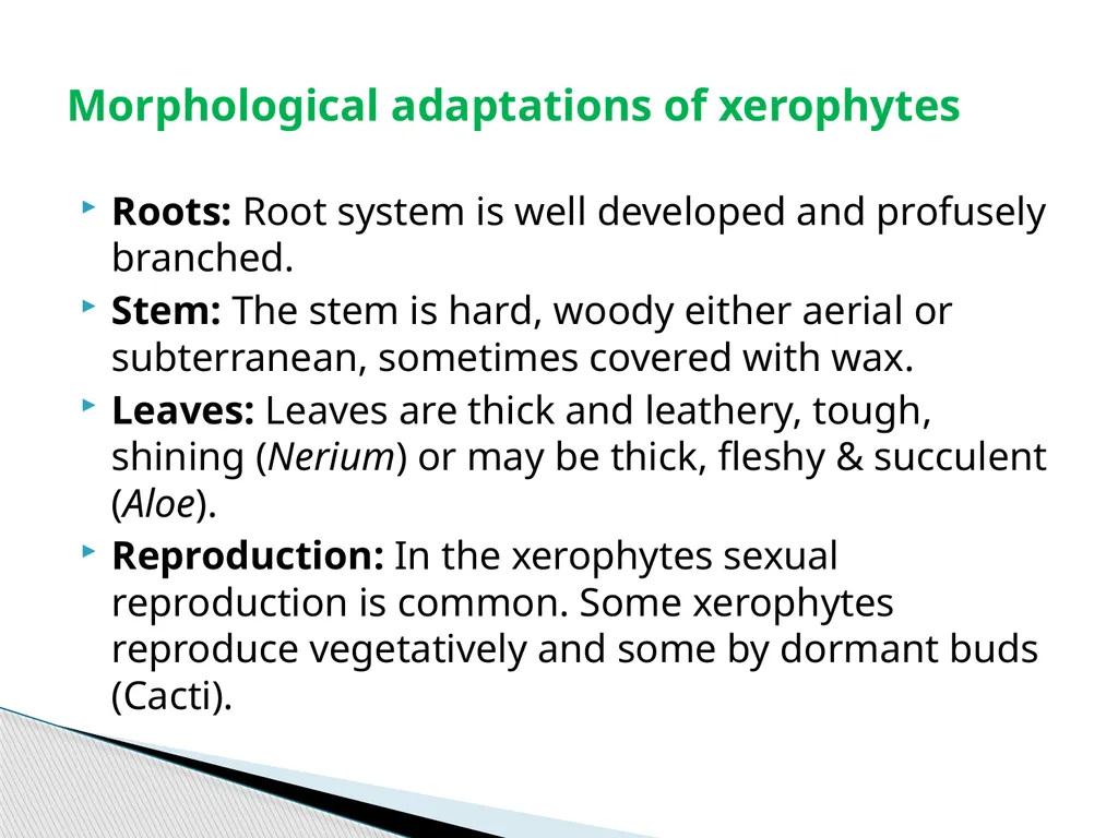 Sem.III, Paper-III ECOLOGICAL ADAPTATIONS Seema - slide 5 of 22
