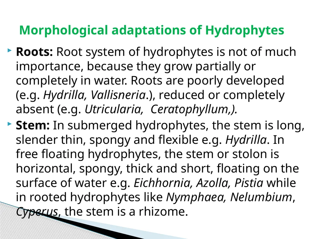 Sem.III, Paper-III ECOLOGICAL ADAPTATIONS Seema - slide 15 of 22